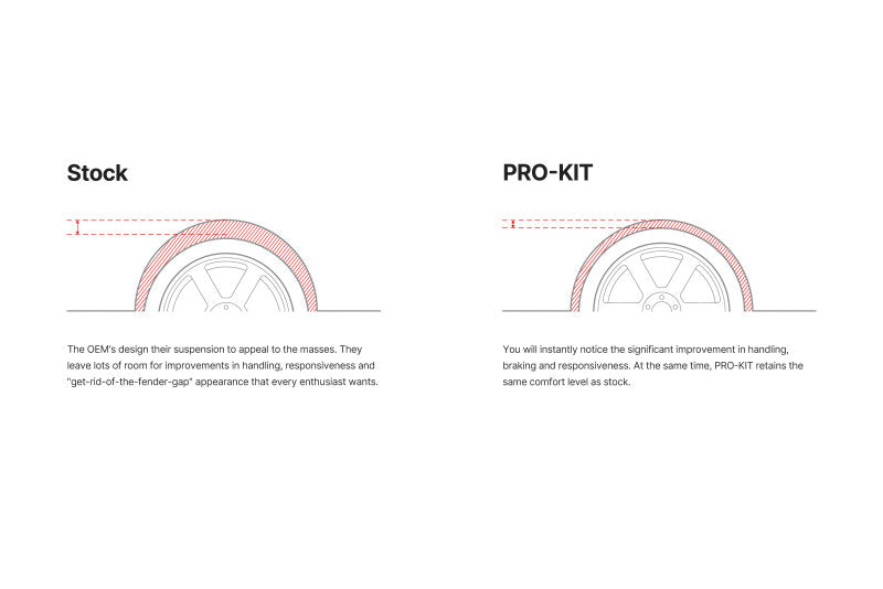 Eibach 06-12 Porsche Cayman (987) Pro-Kit